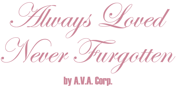 Always Loved Never Furgotten