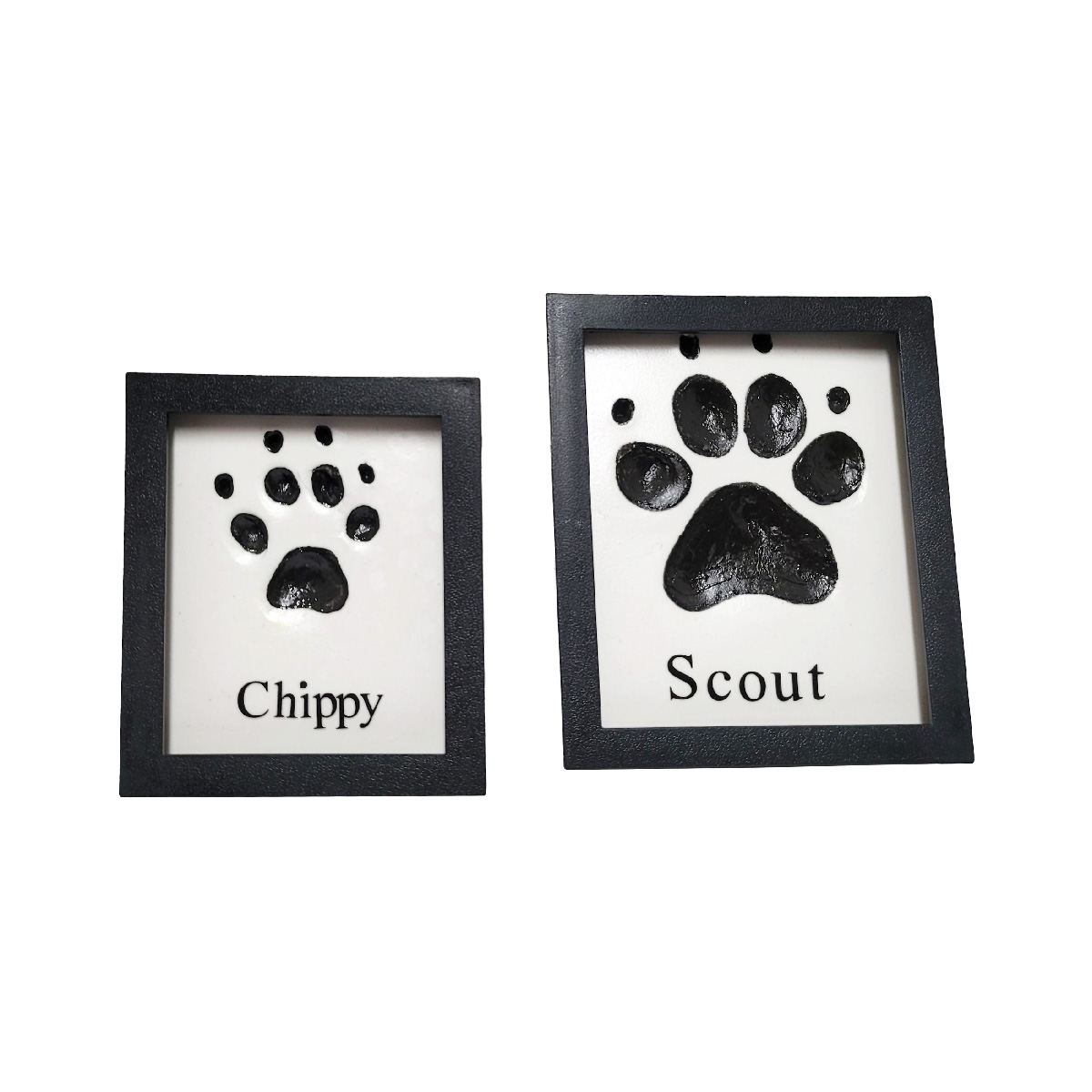 Framed Paw Imprint