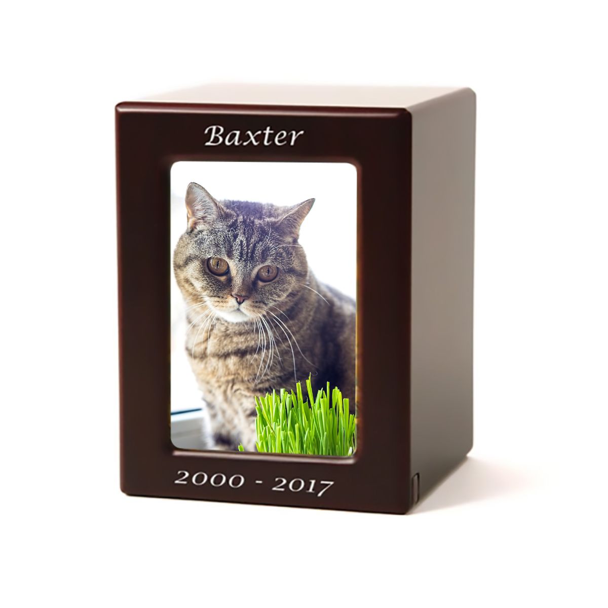 Cherry Photo Urn for Cats